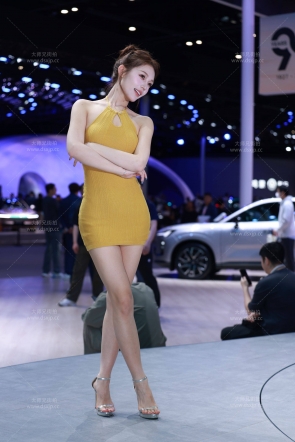 北京车展白皙美腿包臀裙小姐姐【套图+视频】